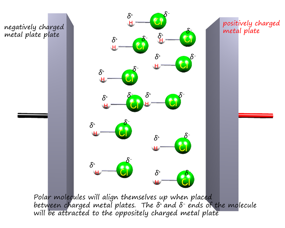 Explanation of how polar molecules will be aligned if they are placed between two oppositely charged plates.